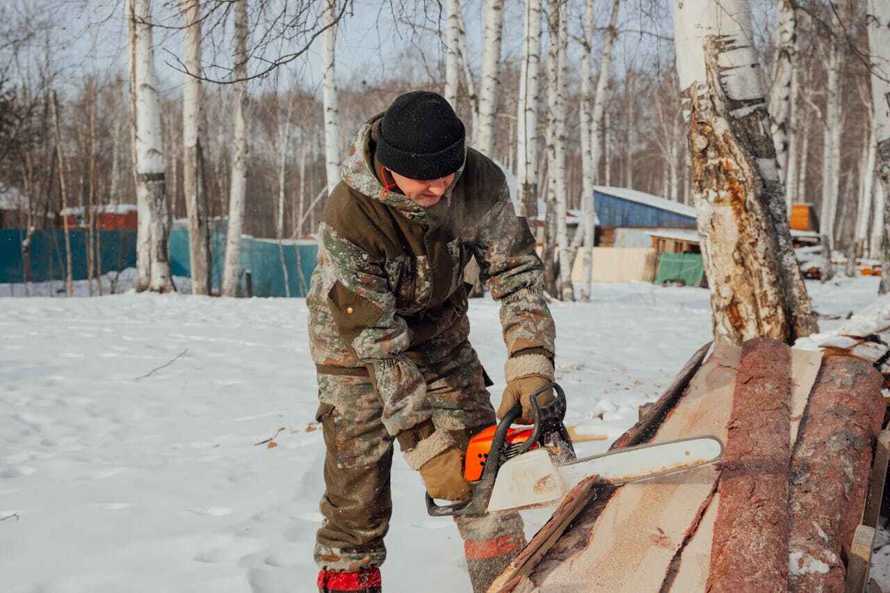 Alexandria, LA Tree Service Company